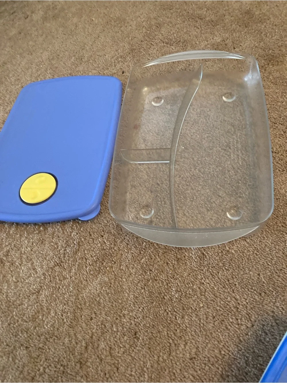 Tupperware brand oblong container